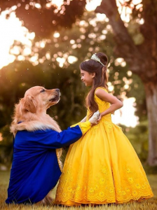 Disfraz bella y bestia
