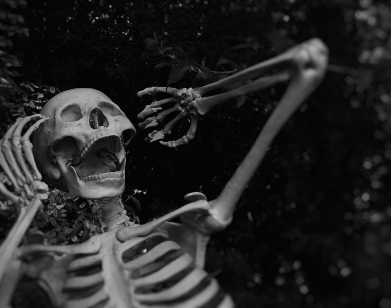 Esqueleto halloween